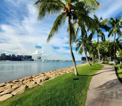 Ocean Drive (D4), Detached #570618471